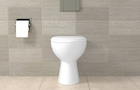 fischer WC-Befestigung WB 5N